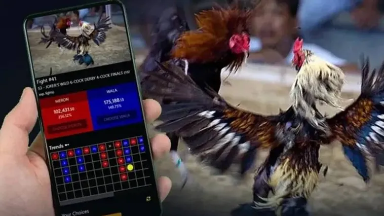 Đá Gà Max10 Đỉnh Cao Trải Nghiệm Cá Cược Thắng Lớn Mỗi Ngày