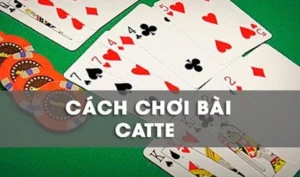 Bí Kíp Chơi Sắc Tê Max10 Từ A Đến Z Chinh Phục Mọi Ván Cược
